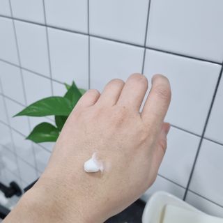 오투에니원 갈락토미세스 비타민 C 프리미엄 블랙스완 크림 50g — 5점을 준 리뷰어가 2023년 1월 올린 사용 사진