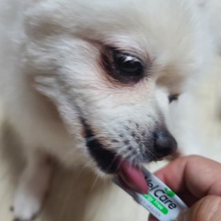 곰같은여우님이 올린 리뷰 사진 3