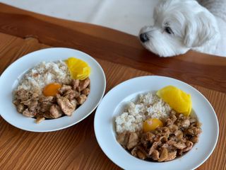(주)마니커 마니커 닭고기 덧살구이 2종(올리브소금&핫칠리) [냉동 500g] — 5점을 준 리뷰어가 2023년 1월 올린 사용 사진