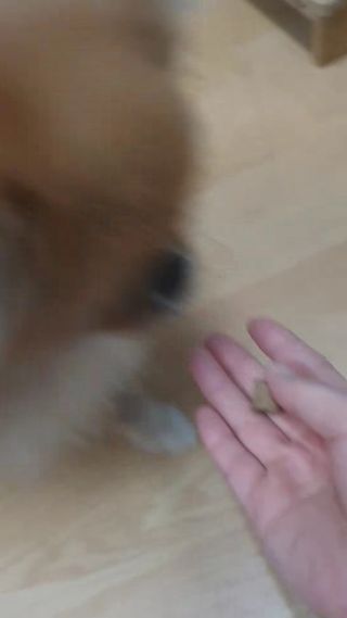 heea님이 올린 리뷰 사진 3