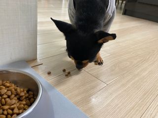 깡지님이 올린 리뷰 사진 4