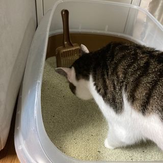 단아님이 올린 리뷰 사진 1