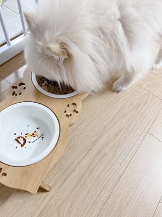 쭌맘구름맘님이 올린 리뷰 사진 4