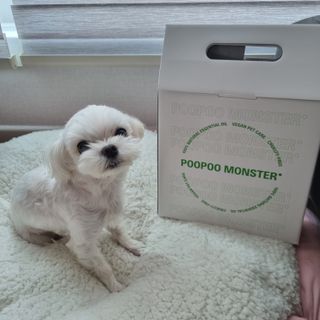 [푸푸몬스터](선물세트) 비건 펫 데오 스프레이(탈취제) 500ml (유향/무향 택 1)+산책 물통+메시지카드 — 5점을 준 리뷰어가 2022년 8월 올린 사용 사진