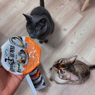 어린이님이 올린 리뷰 사진 2