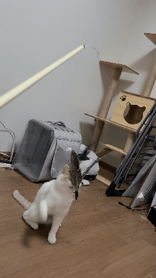 으나님이 올린 리뷰 사진 2