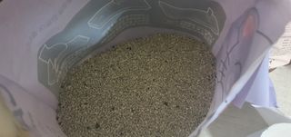 겟플렉스 켓플렉스 캣츠룸BS-1 고양이모래 4kg — 5점을 준 리뷰어가 2021년 1월 올린 사용 사진
