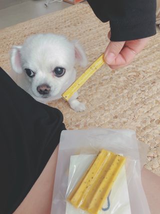 designerjoo님이 올린 리뷰 사진 3