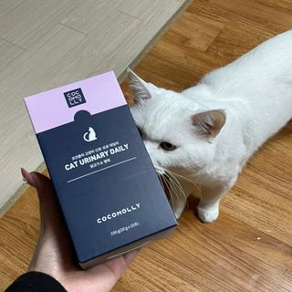 뉸뉸냔냐님이 올린 리뷰 사진 1