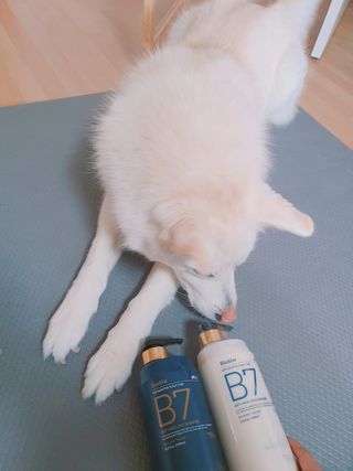 [포레스트스토리] B7 안티 헤어로스 샴푸1,000ml + 헤어팩 1,000ml — 5점을 준 리뷰어가 2021년 3월 올린 사용 사진