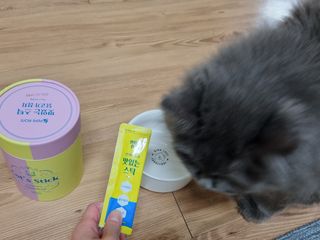 페페로니 맛있는 스틱 - 무항생제 닭고기 15개 + 원양선 참치 15개 — 5점을 준 리뷰어가 2021년 8월 올린 사용 사진
