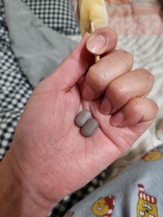 닥터피엔티 [Dr.PNT] 하루 2알로 건강한 다이어트! 한겨울에도 체지방만 쏙~ 슬림핏 다이어트 — 5점을 준 리뷰어가 2023년 3월 올린 사용 사진