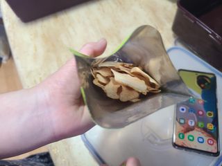 쏘쏘홀릭님이 올린 리뷰 사진 3