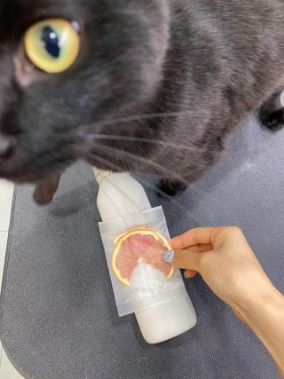 정봐기린님이 올린 리뷰 사진 3