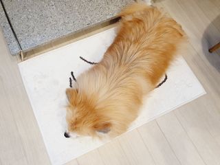 좋아님이 올린 리뷰 사진 3