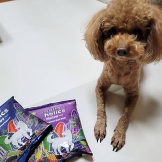 mejoom님이 올린 리뷰 사진 1
