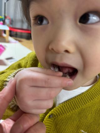 쿠팡 [아임고트] 뉴질랜드 산양유 프로바이오틱스 츄어블 코코아맛 — 5점을 준 리뷰어가 2025년 2월 올린 사용 사진