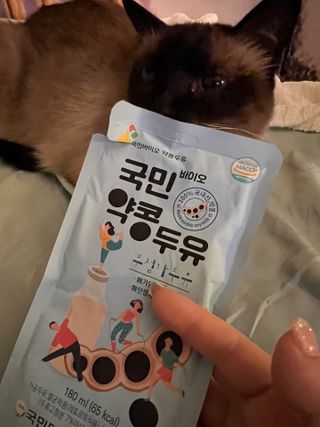 매일의홍양님이 올린 리뷰 사진 3