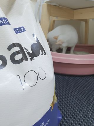 밤비네님이 올린 리뷰 사진 3