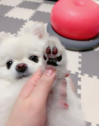 순덕아맘마먹자님이 올린 리뷰 사진 4