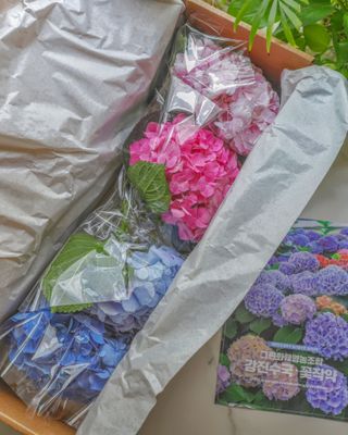 레비올라님이 올린 리뷰 사진 1
