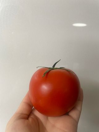 영이님이 올린 리뷰 사진 3