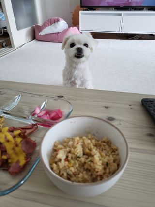 뽀오오옹님이 올린 리뷰 사진 4
