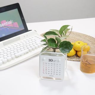 [메이크정글] 식물과 달력이 하나로, 2023년 식물캘린더 No.1 — 5점을 준 리뷰어가 2022년 10월 올린 사용 사진