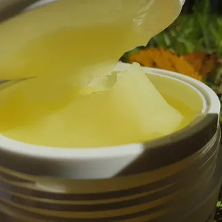 곰대가리님이 올린 리뷰 사진 4