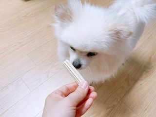 페페로니 2종 세트 클린플러스 덴탈껌 치킨+덕 — 5점을 준 리뷰어가 2021년 7월 올린 사용 사진