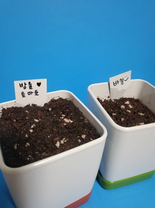 Miyaong님이 올린 리뷰 사진 1