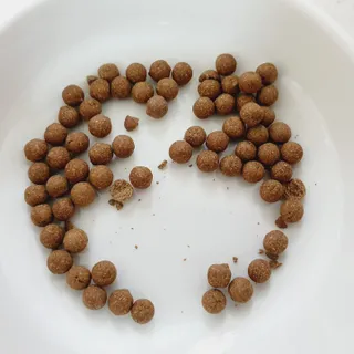 미니코코님이 올린 리뷰 사진 3