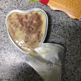 비타크래프트 조에시 하트캔 85g 강아지 습식캔 10캔 — 5점을 준 리뷰어가 2021년 7월 올린 사용 사진