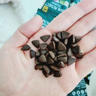 [푸디웜] 라포그  리얼인섹트 웨이트밸런스 저알러지 강아지 사료  1.2KG — 5점을 준 리뷰어가 2022년 7월 올린 사용 사진