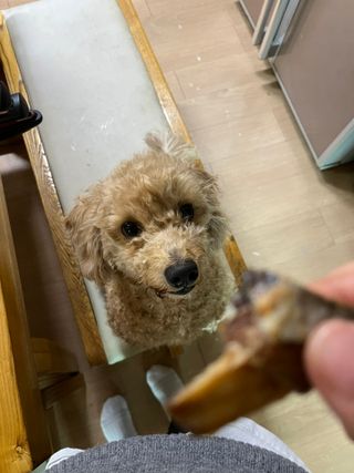빛쭈님이 올린 리뷰 사진 2
