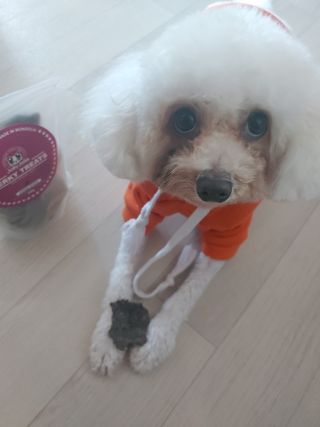 햇님달님님이 올린 리뷰 사진 1