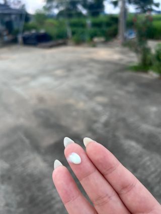 은지님이 올린 리뷰 사진 3