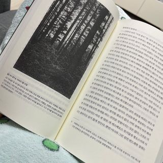 김태식님이 올린 리뷰 사진 3