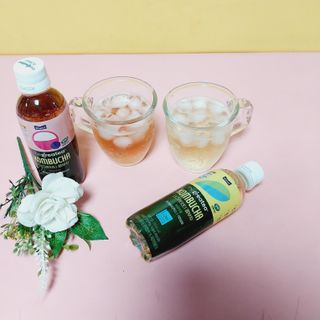 더그레잇티 콤부차 [매일유업] 더그레잇티 44kcal 콤부차 300ml *12개입 (오리지널 6개+베리리치 6개) — 5점을 준 리뷰어가 2023년 7월 올린 사용 사진
