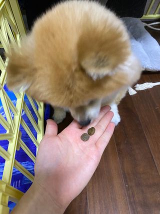 박유정님이 올린 리뷰 사진 1