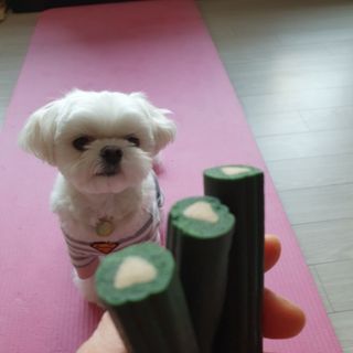 hosu.1230님이 올린 리뷰 사진 2