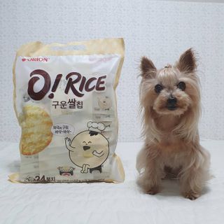 솜희님이 올린 리뷰 사진 4