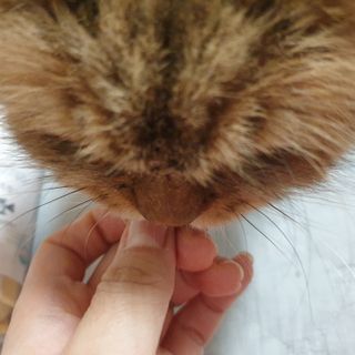 옹알이님이 올린 리뷰 사진 4