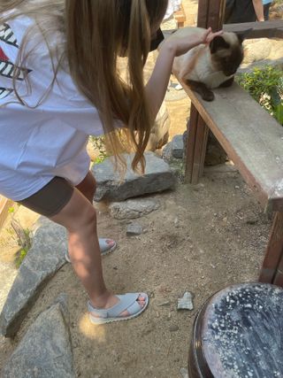 달콤님이 올린 리뷰 사진 2