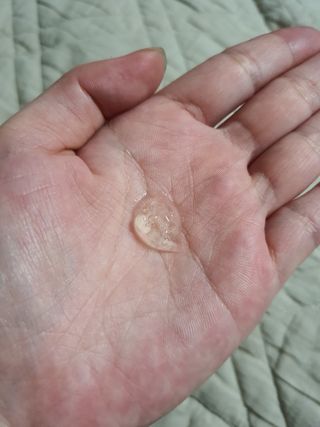 배엘세바님이 올린 리뷰 사진 2