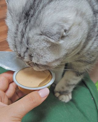 유햐님이 올린 리뷰 사진 2