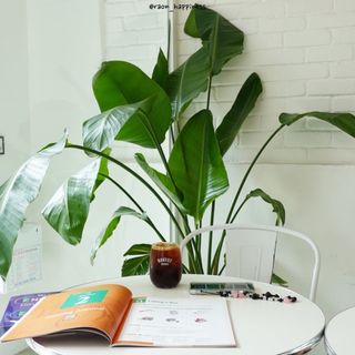 임라온님이 올린 리뷰 사진 3