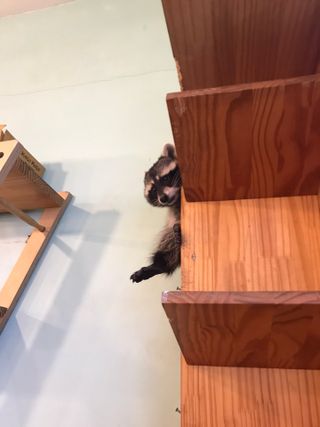 리준님이 올린 리뷰 사진 4