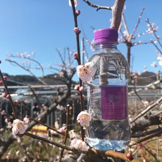 몽베스트 [MONTBEST] 330mL 20병 — 5점을 준 리뷰어가 2024년 3월 올린 사용 사진