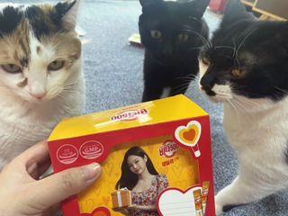 광동생활건강 [제니에디션] 비타500데일리스틱 gift set 60포+제니굿즈 3종+쇼핑백 — 5점을 준 리뷰어가 2021년 11월 올린 사용 사진